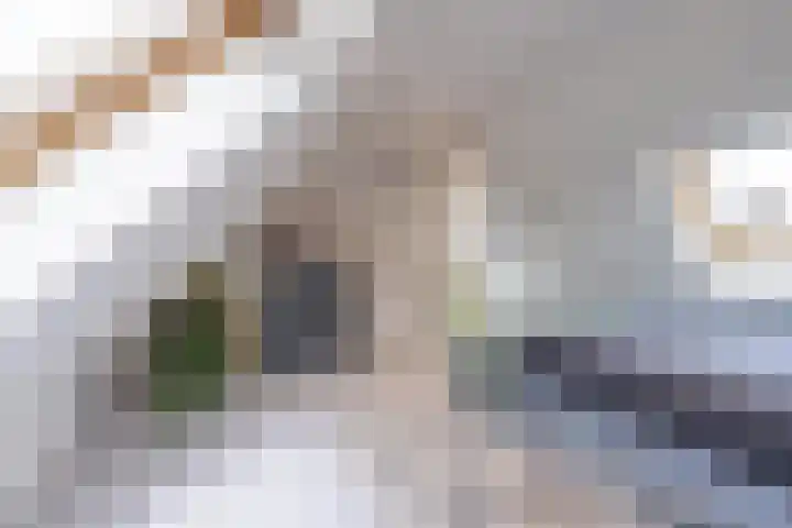 Binnenweg 7 Tiel thumbnail 77