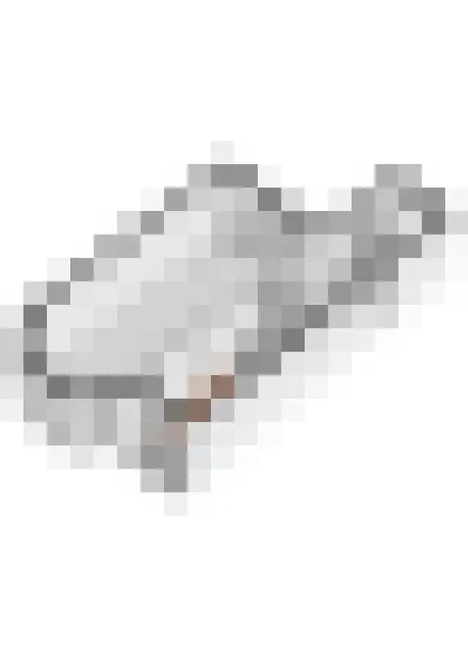 Binnenweg 7 Tiel thumbnail 79