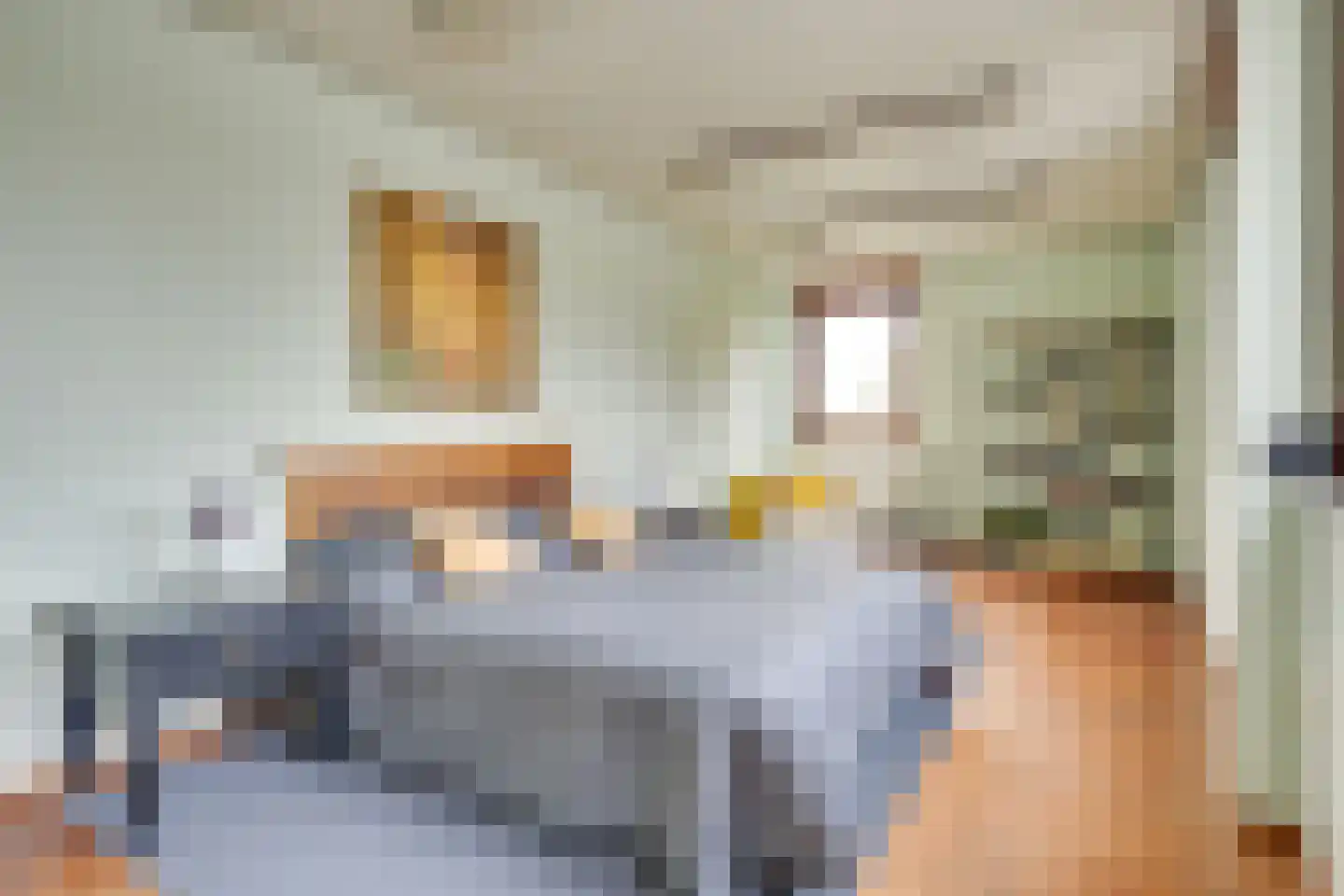 Binnenweg 7 Veldhoven thumbnail 19