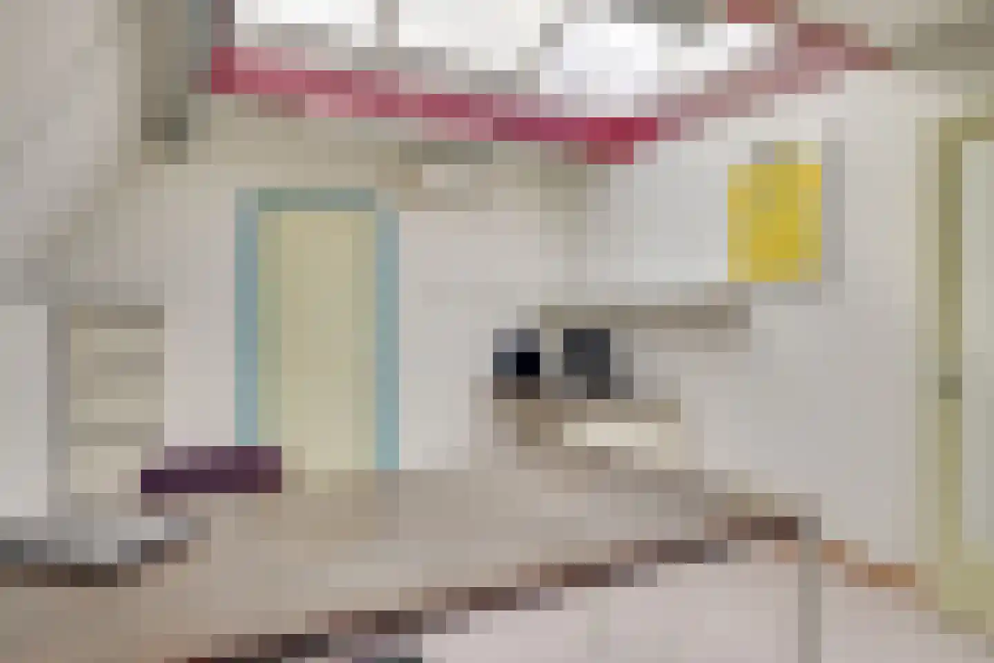 Binnenweg 7 Veldhoven thumbnail 46