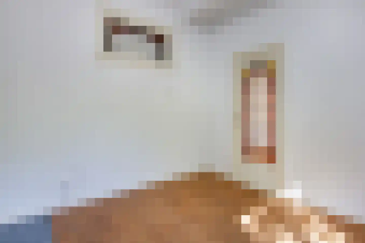 Binnenweg 77 B Heemstede thumbnail 18