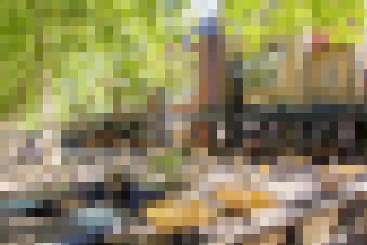 Binnenweg 77 B Heemstede thumbnail 33