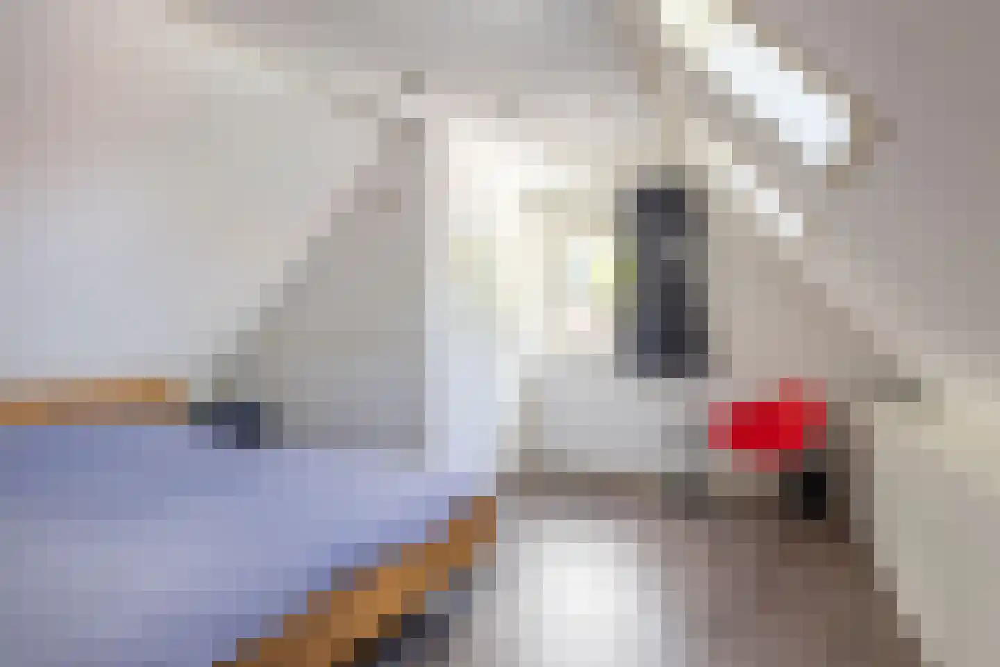 Binnenweg 8 A Nijeholtpade thumbnail 32