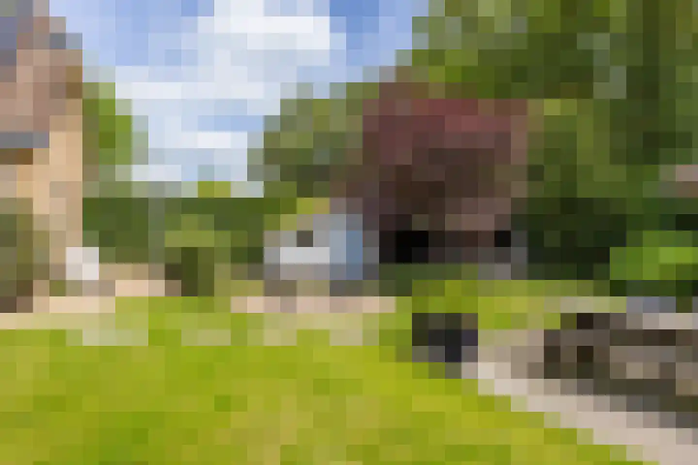 Binnenweg 8 A Nijeholtpade thumbnail 46