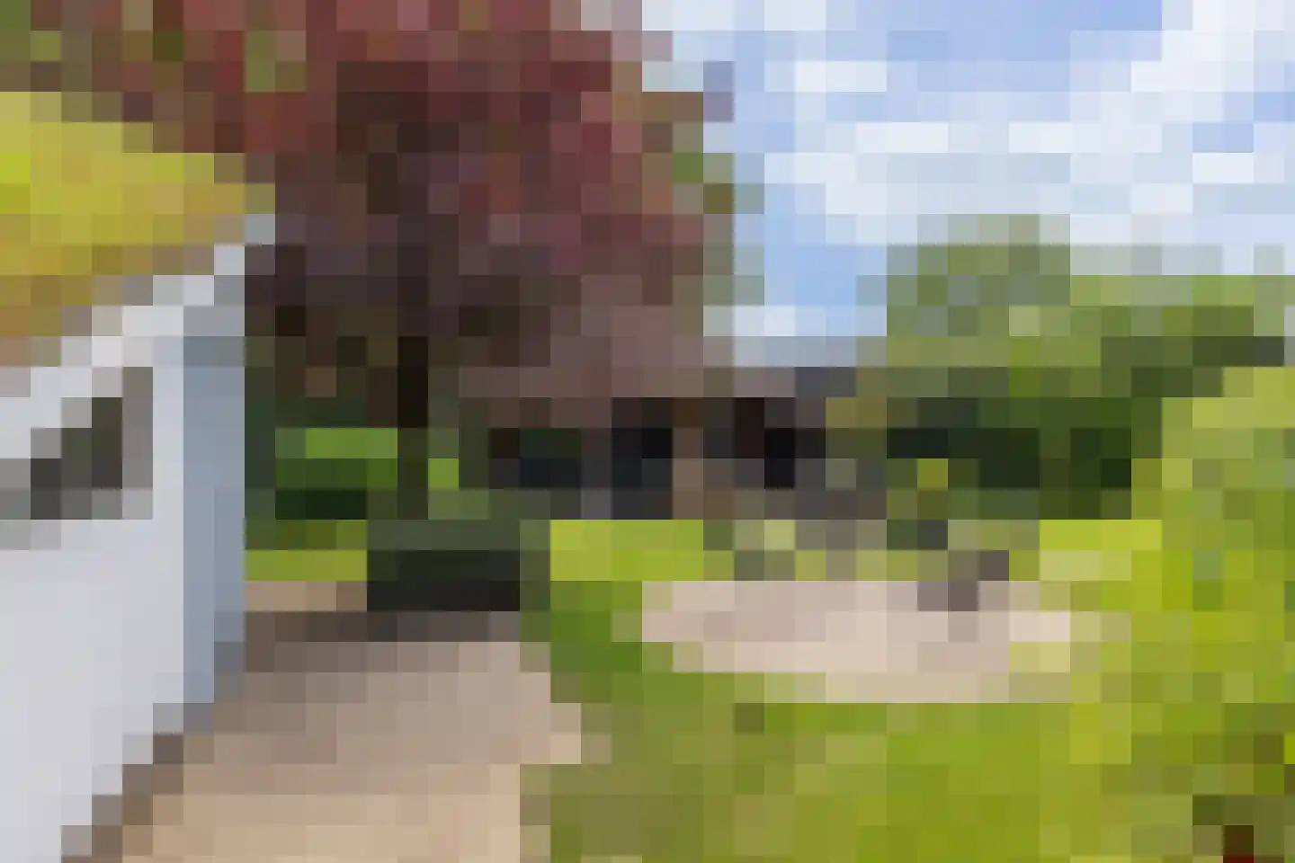 Binnenweg 8 A Nijeholtpade thumbnail 47