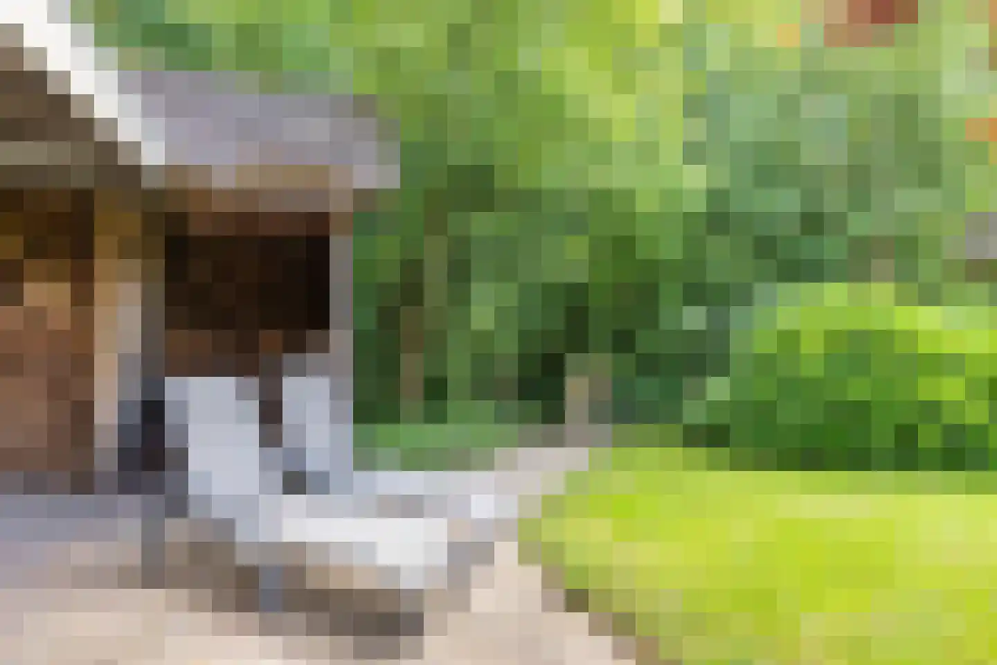 Binnenweg 8 A Nijeholtpade thumbnail 48
