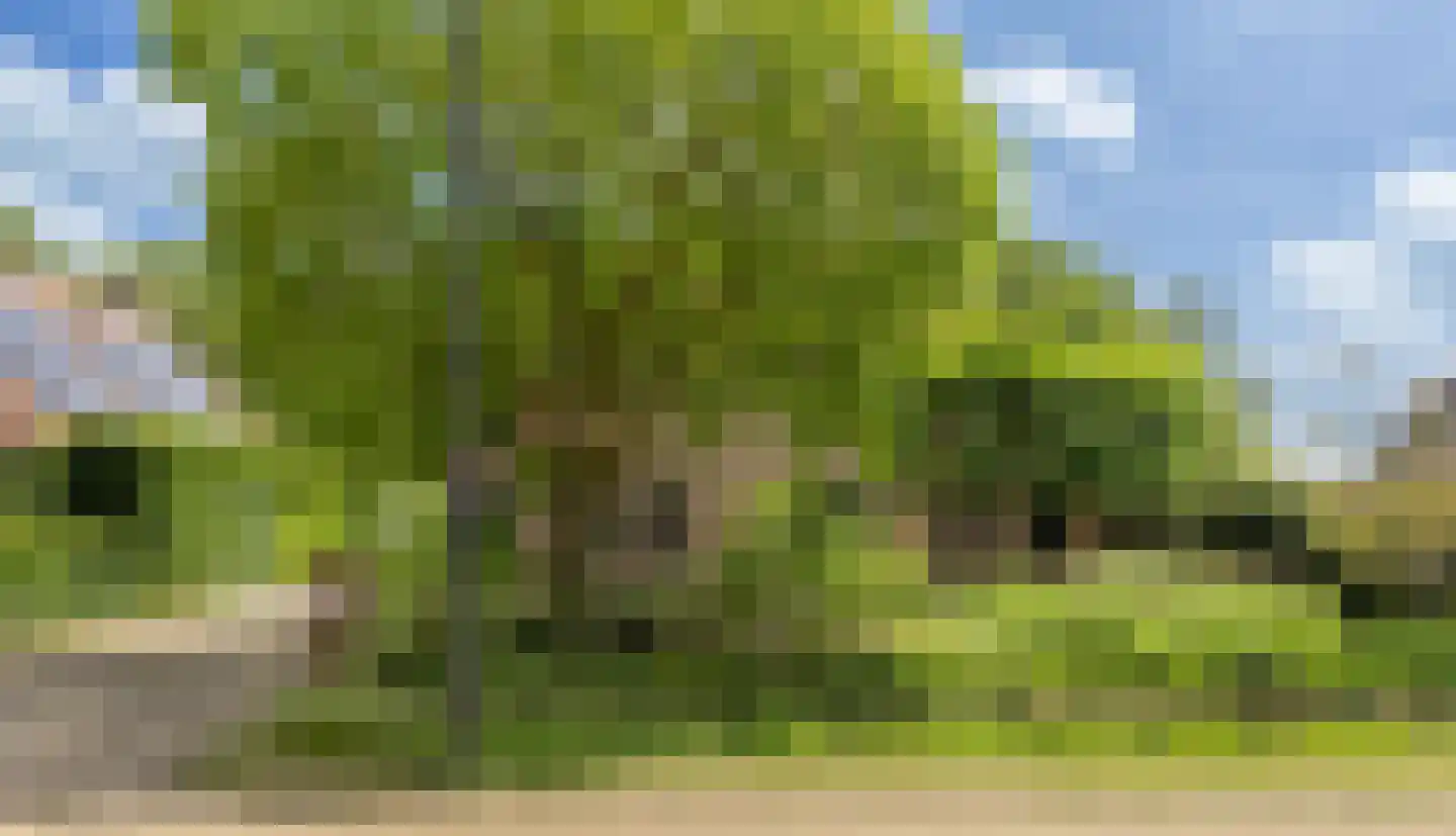 Binnenweg 8 A Nijeholtpade thumbnail 5
