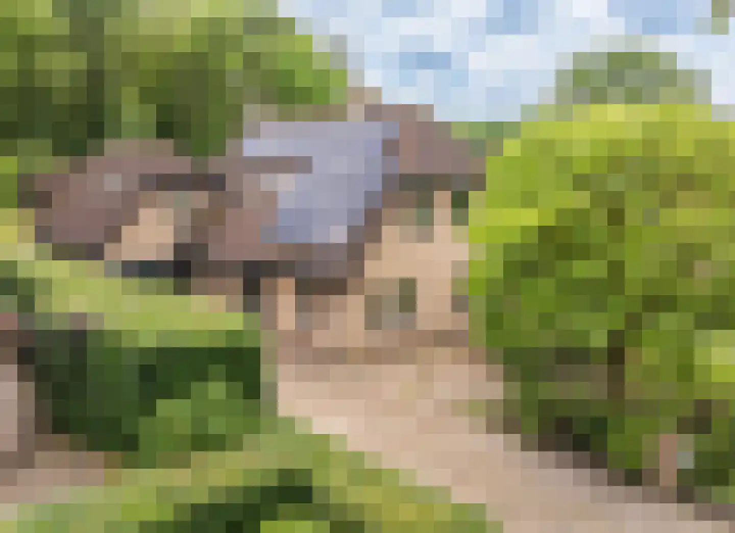 Binnenweg 8 A Nijeholtpade thumbnail 6