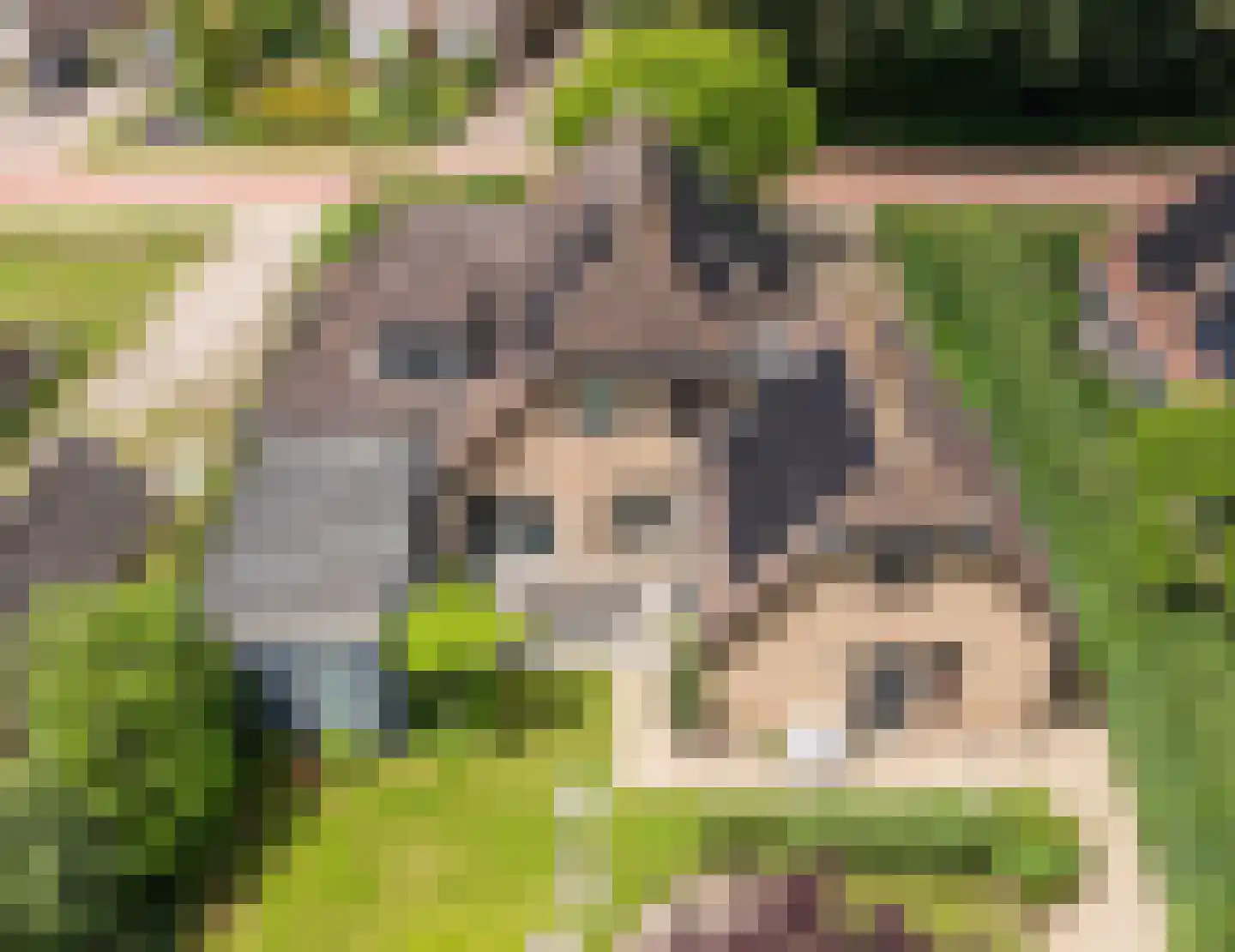 Binnenweg 8 A Nijeholtpade thumbnail 7