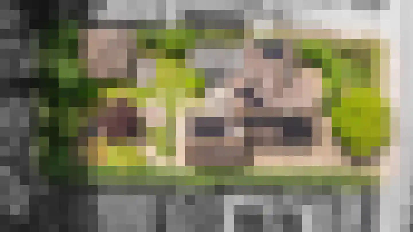 Binnenweg 8 A Nijeholtpade thumbnail 8