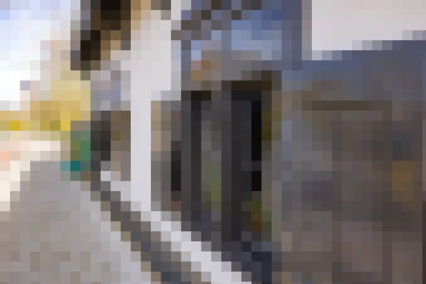 Binnenweg 8 Bennebroek thumbnail 10