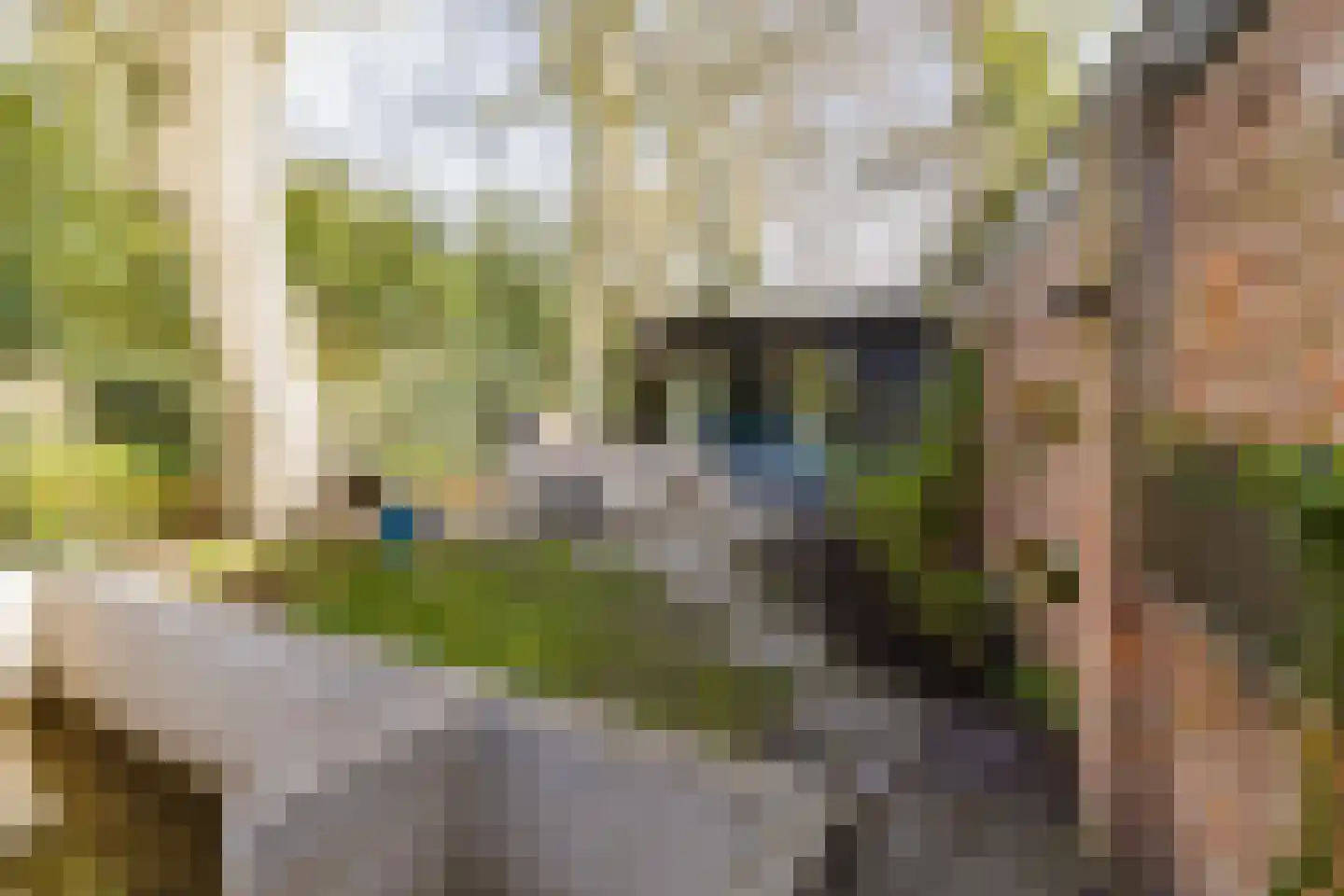 Binnenweg 8 Bennebroek thumbnail 27