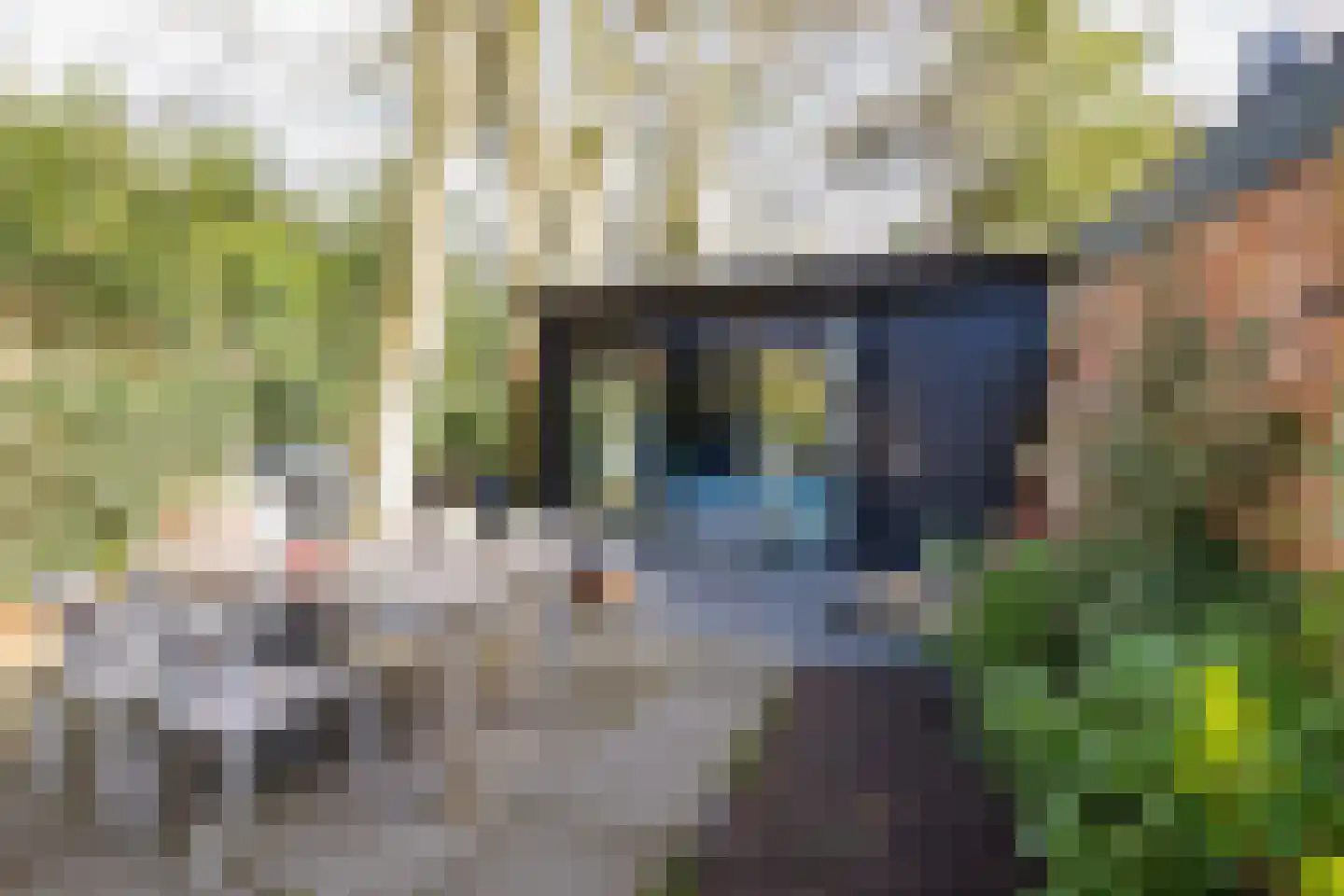 Binnenweg 8 Bennebroek thumbnail 28