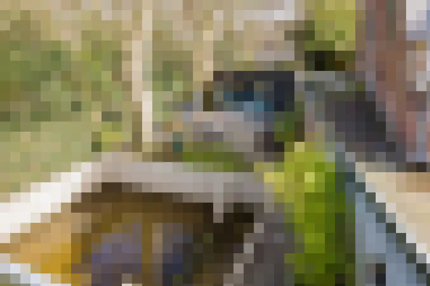 Binnenweg 8 Bennebroek thumbnail 38