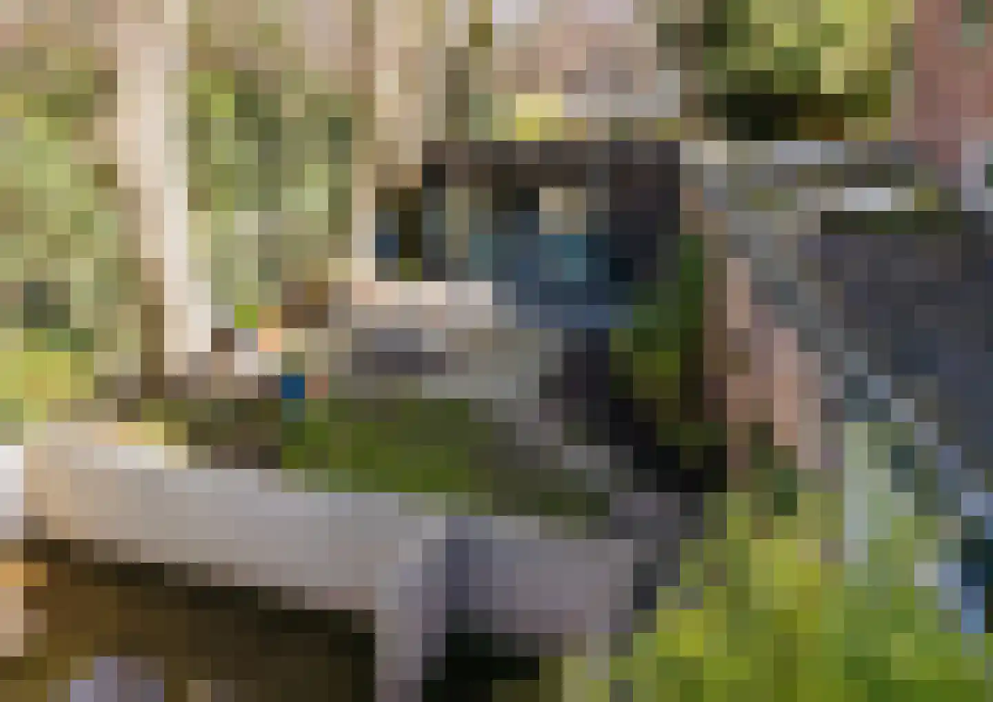 Binnenweg 8 Bennebroek thumbnail 46