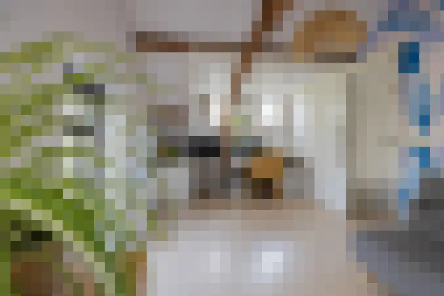 Binnenweg 8 Bennebroek thumbnail 52