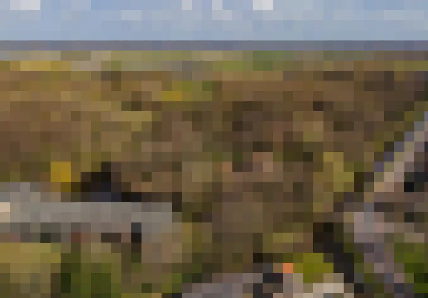 Binnenweg 8 Bennebroek thumbnail 56