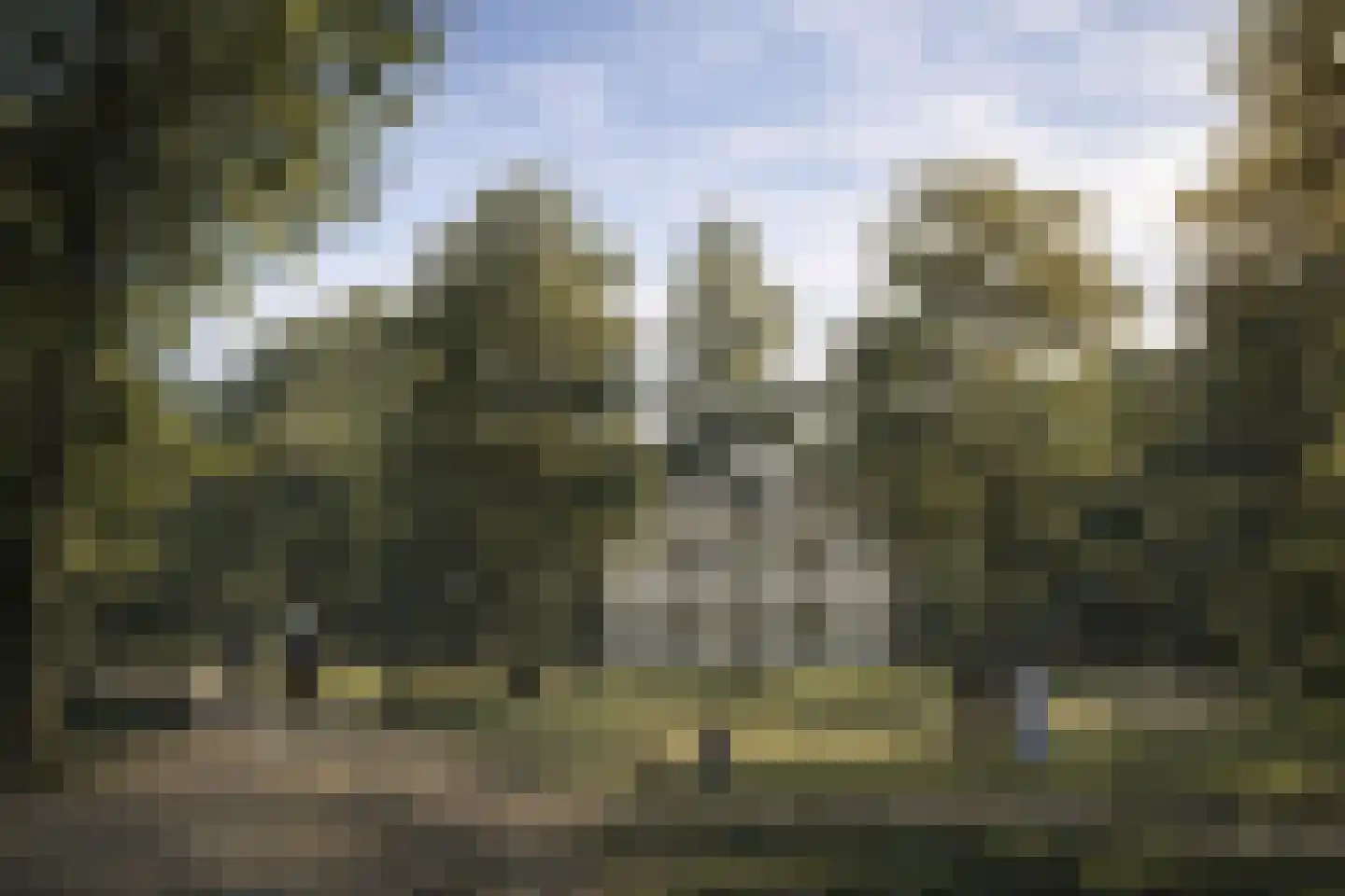 Binnenweg 8 Bennebroek thumbnail 58