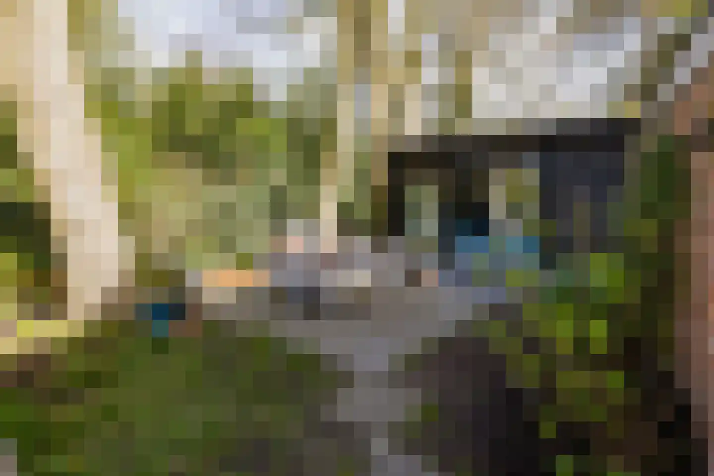 Binnenweg 8 Bennebroek thumbnail 6