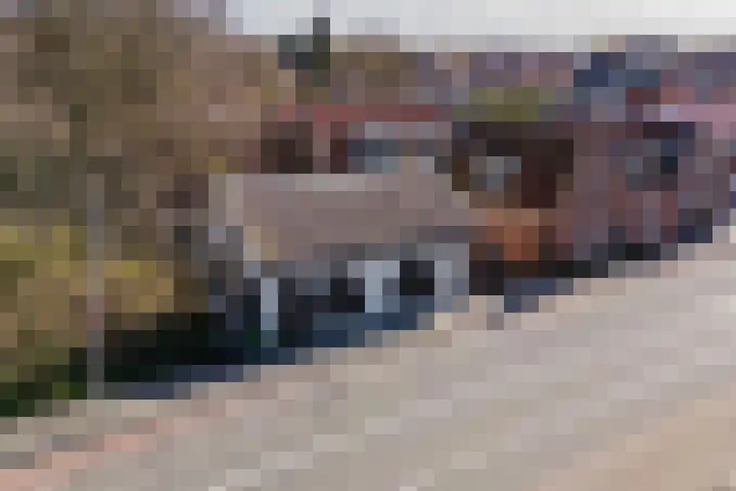 Binnenweg 8 Bennebroek thumbnail 8