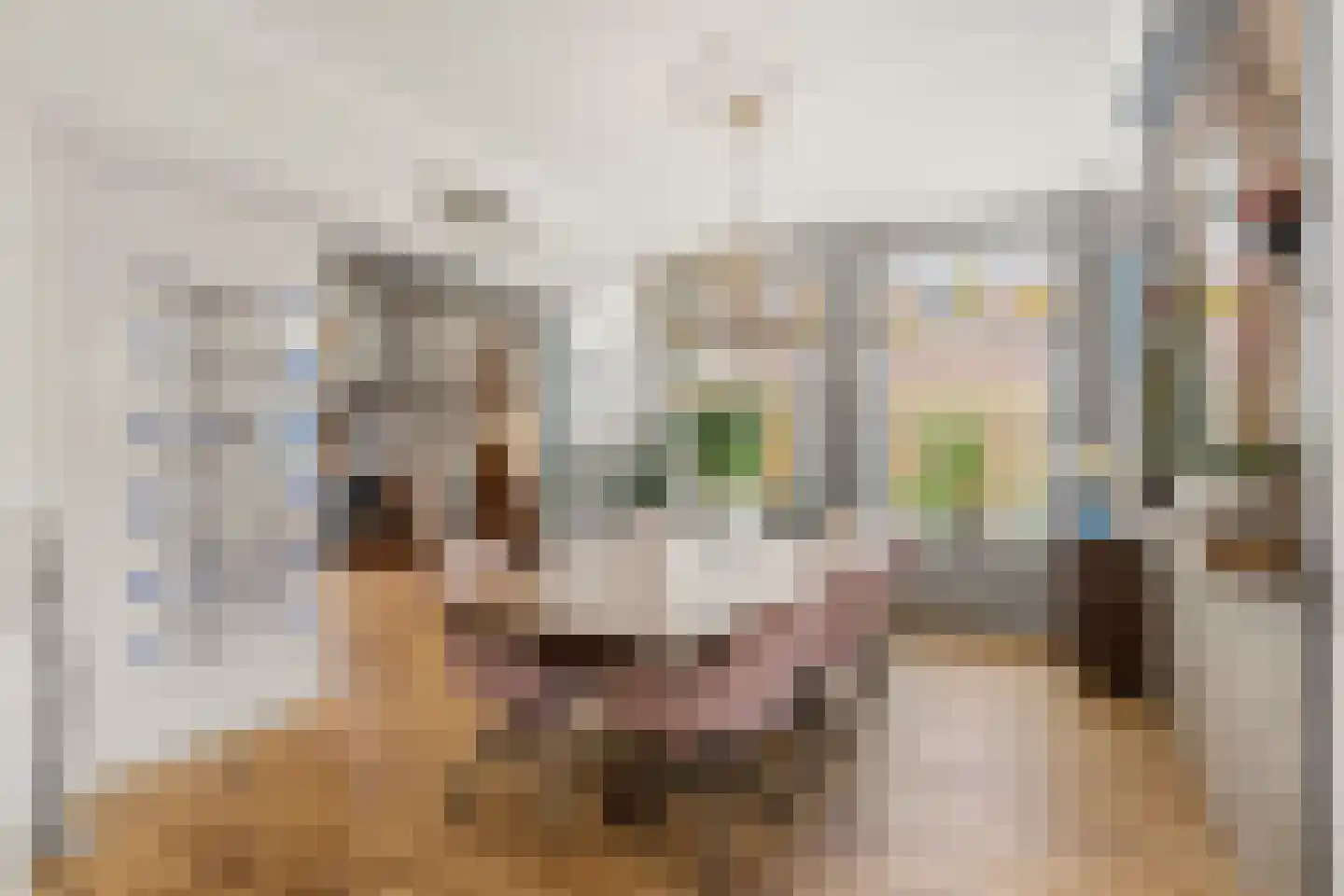 Binnenweg 8 Loenersloot thumbnail 20