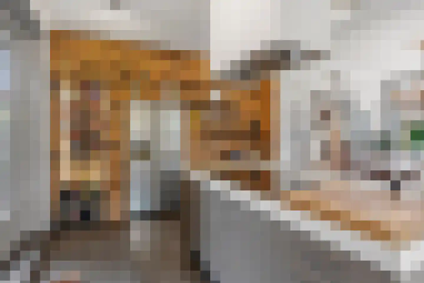 Binnenweg 8 Loenersloot thumbnail 25
