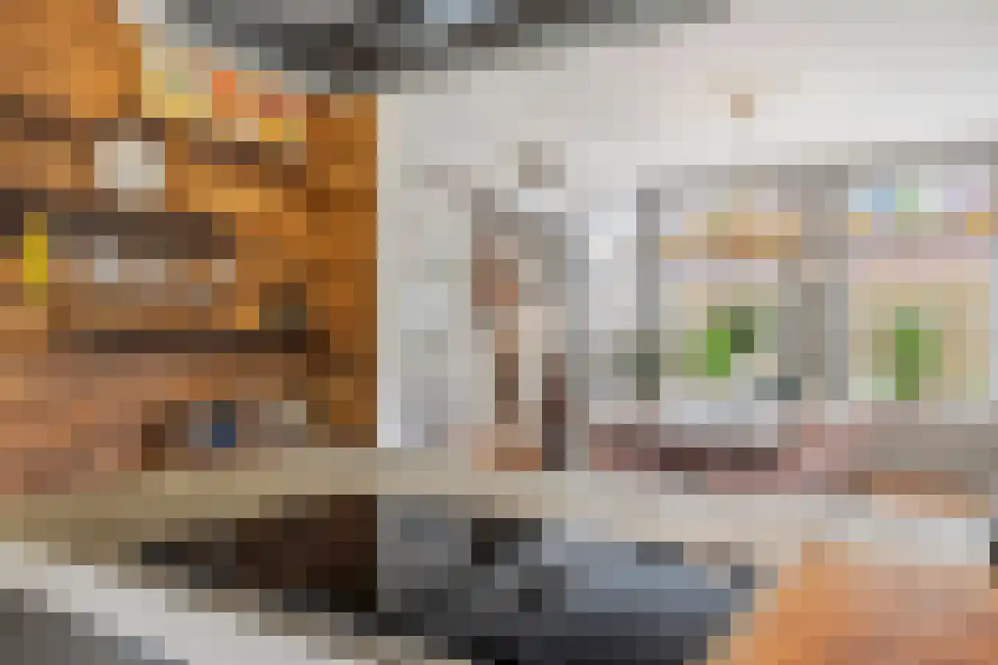 Binnenweg 8 Loenersloot thumbnail 26