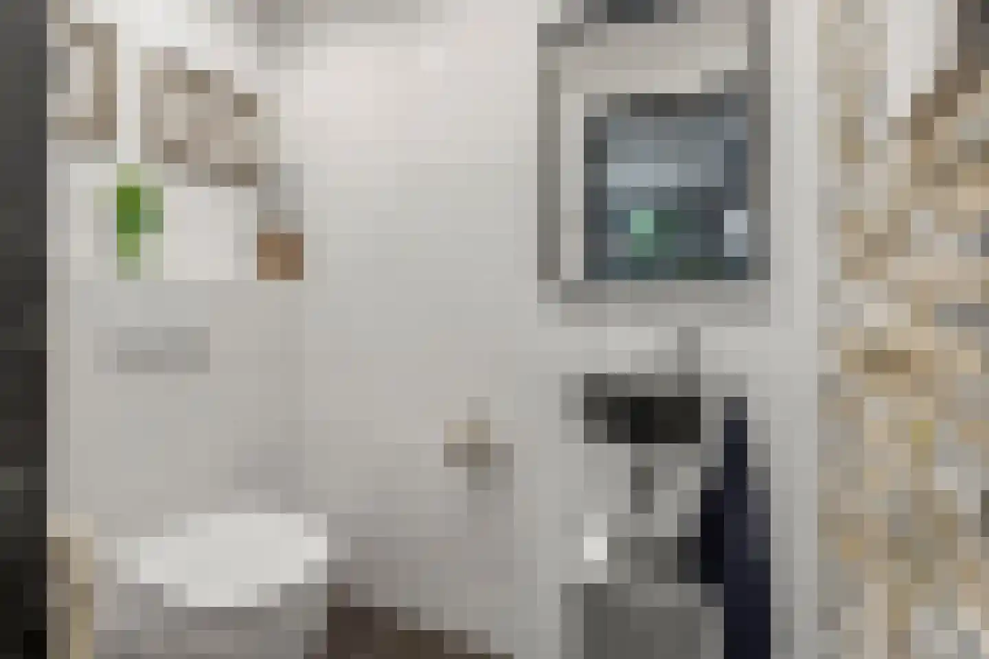 Binnenweg 8 Loenersloot thumbnail 32