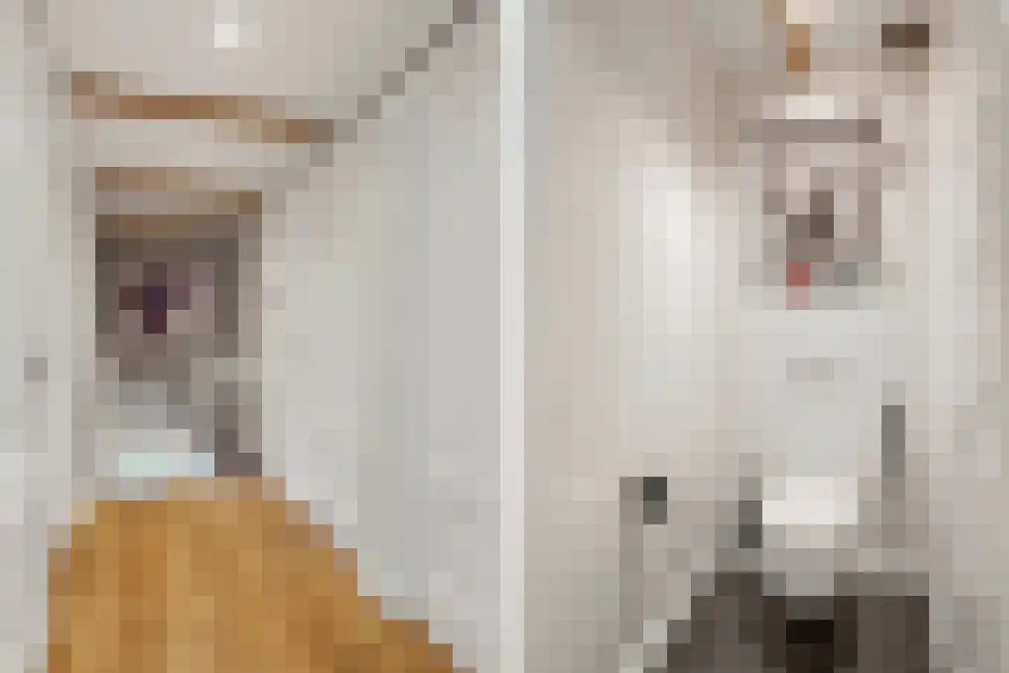 Binnenweg 8 Loenersloot thumbnail 42