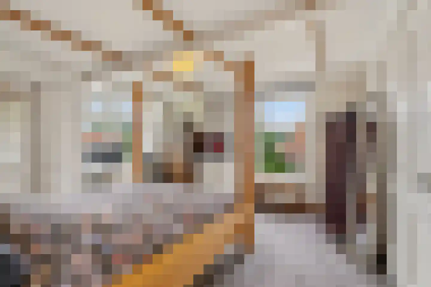 Binnenweg 8 Loenersloot thumbnail 43