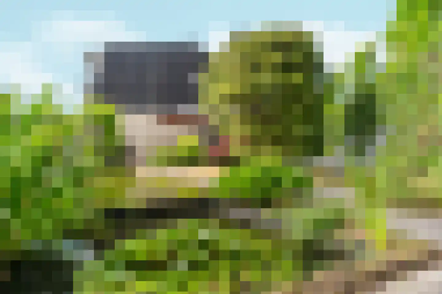 Binnenweg 8 Loenersloot thumbnail 50