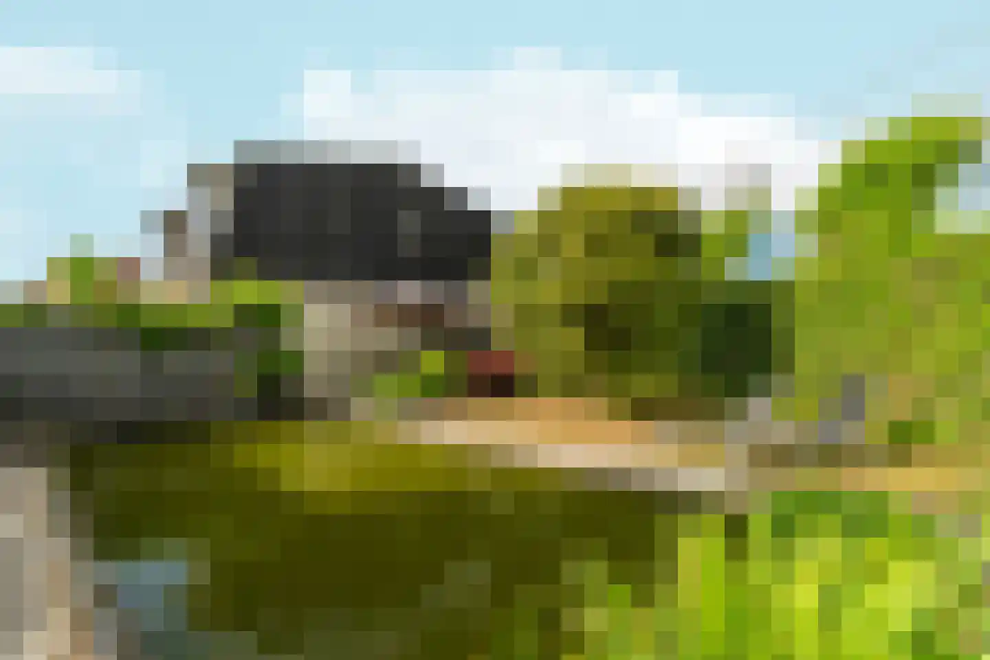 Binnenweg 8 Loenersloot thumbnail 51