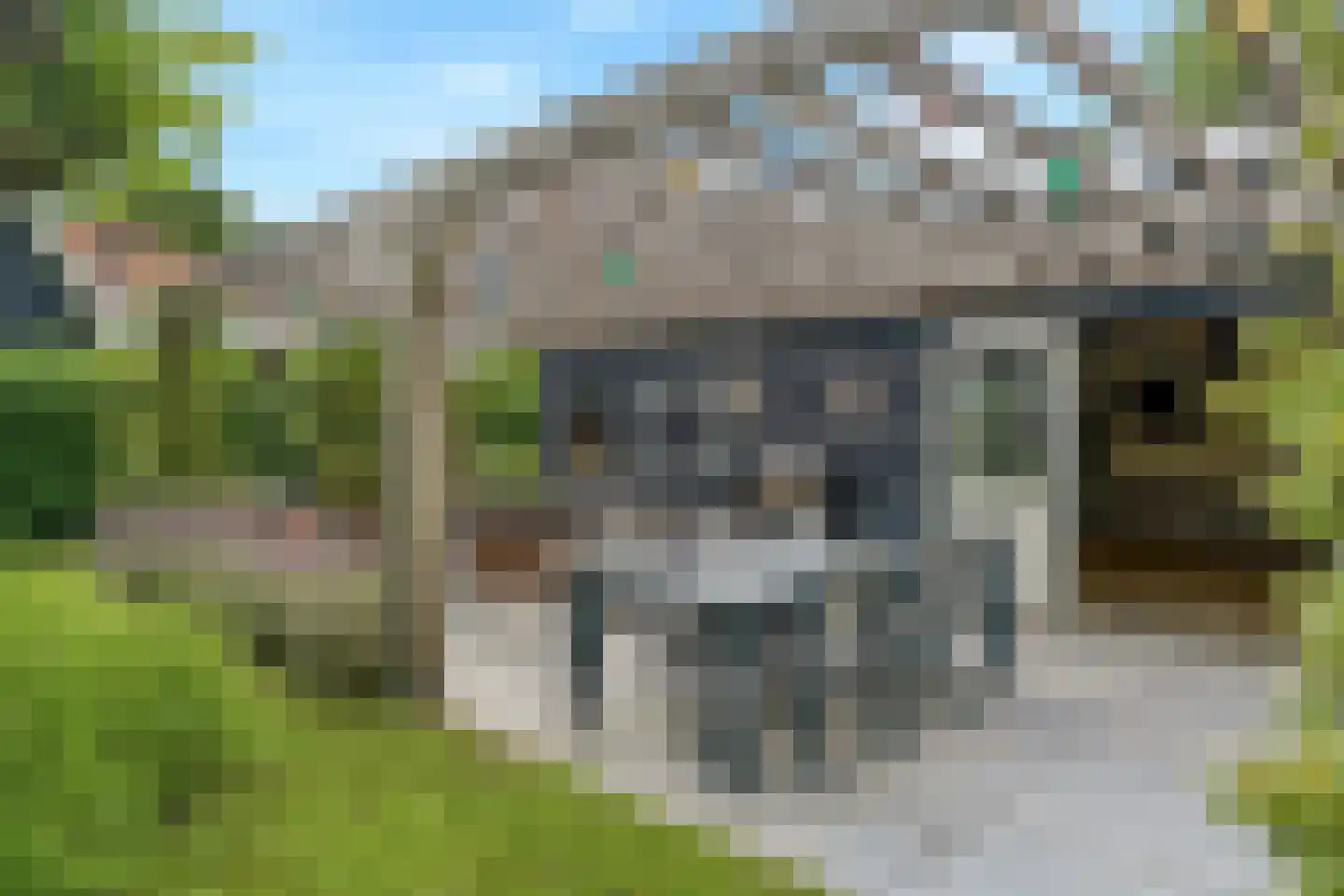 Binnenweg 8 Loenersloot thumbnail 57