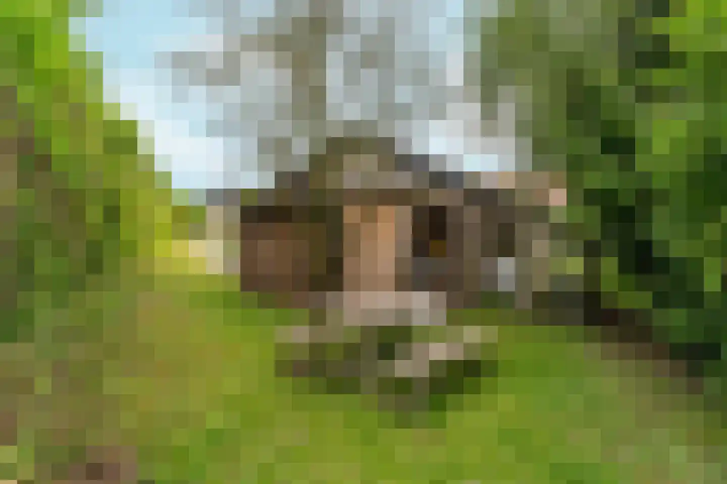 Binnenweg 8 Loenersloot thumbnail 72