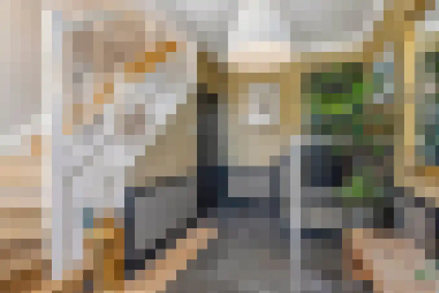 Binnenweg 8 Loenersloot thumbnail 8