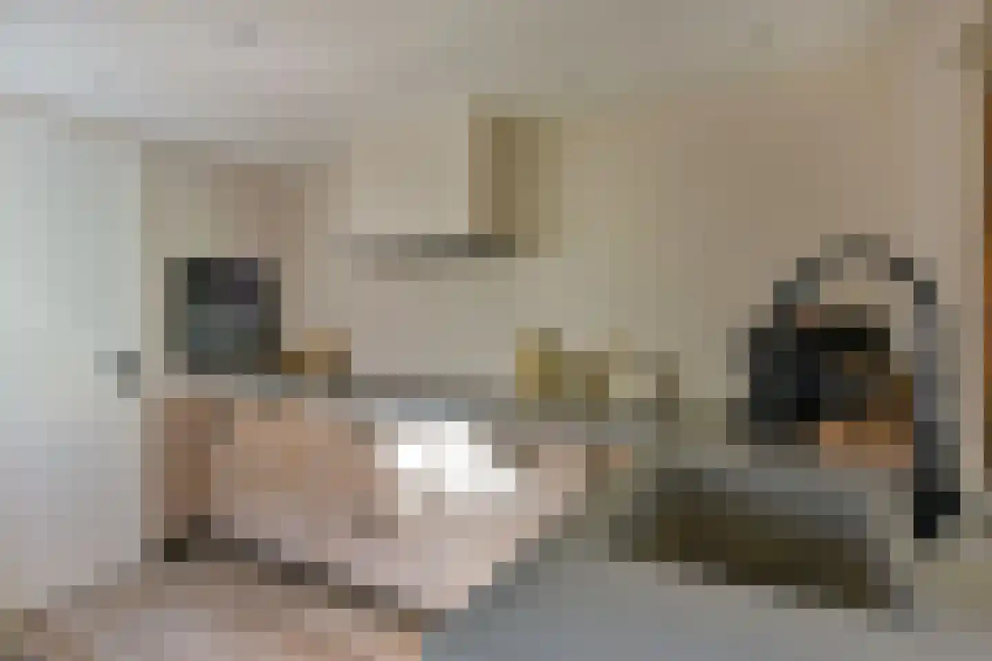 Binnenweg 83 Loenersloot thumbnail 13