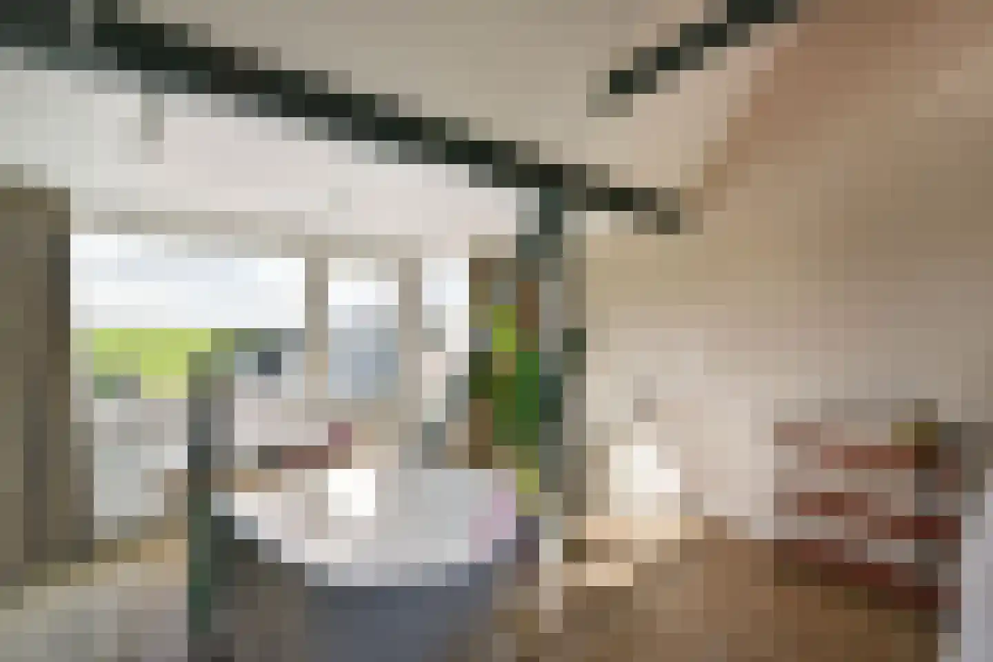 Binnenweg 83 Loenersloot thumbnail 17