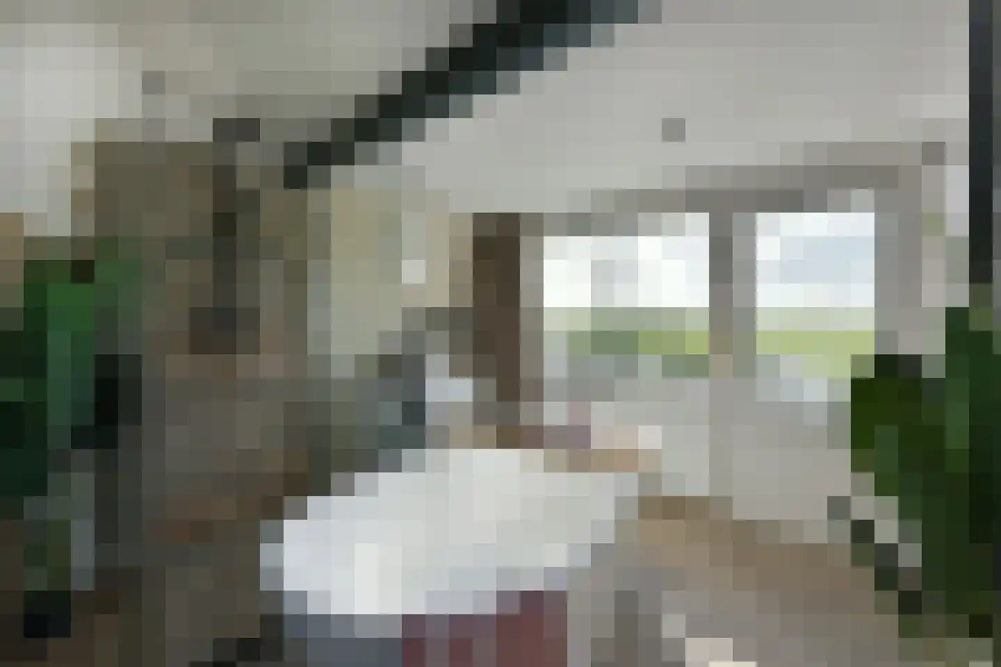 Binnenweg 83 Loenersloot thumbnail 18