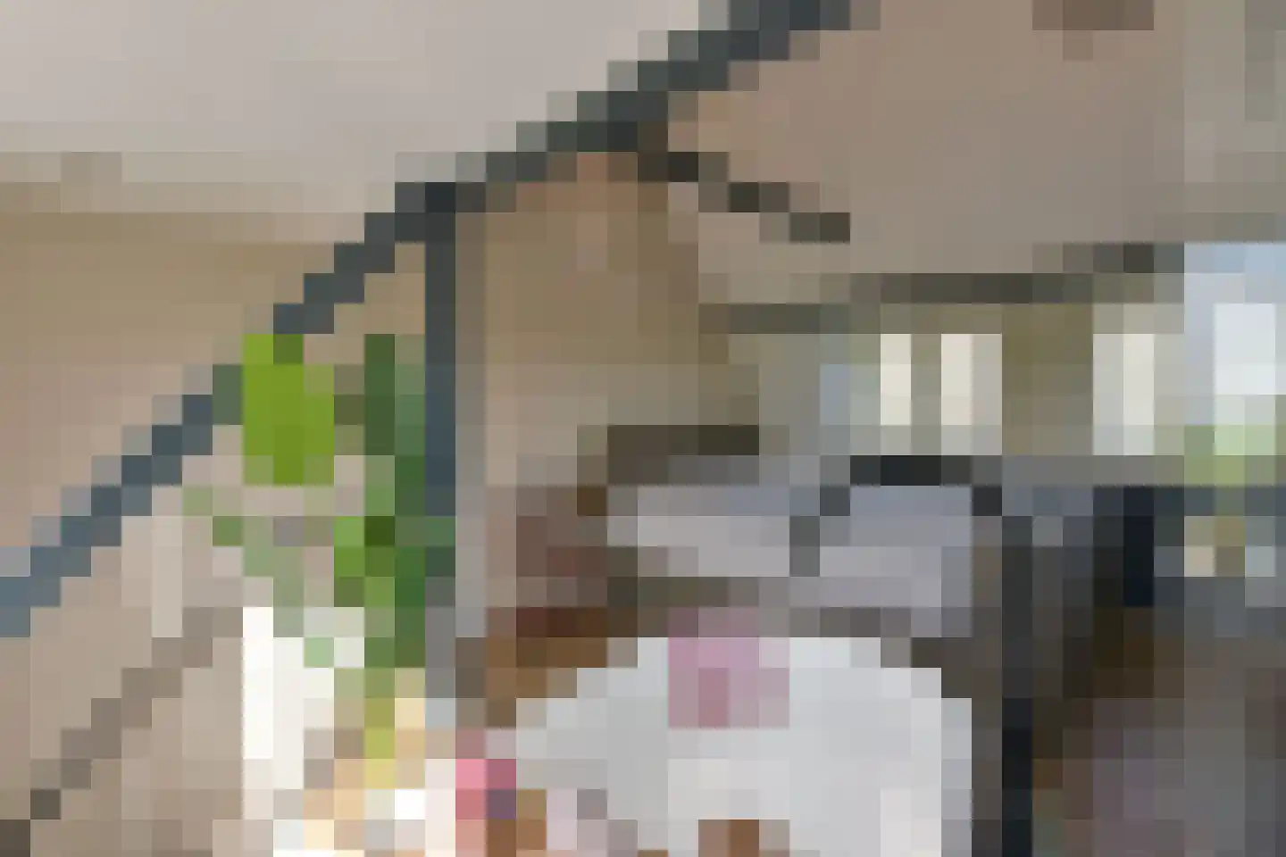 Binnenweg 83 Loenersloot thumbnail 20