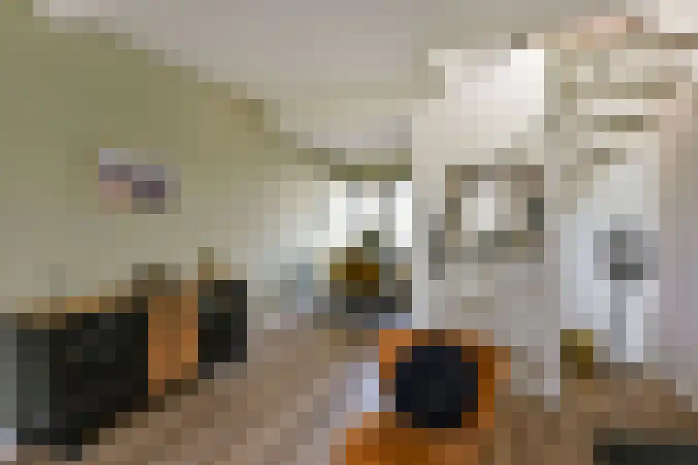 Binnenweg 83 Loenersloot thumbnail 8