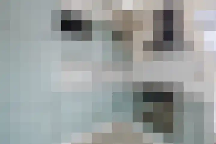 Binnenweg 88 Nijeveen thumbnail 9