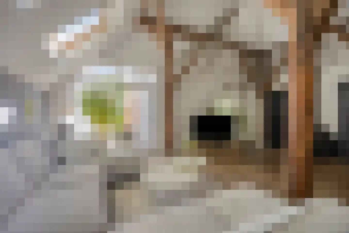 Binnenweg 9 Nijeholtpade thumbnail 12