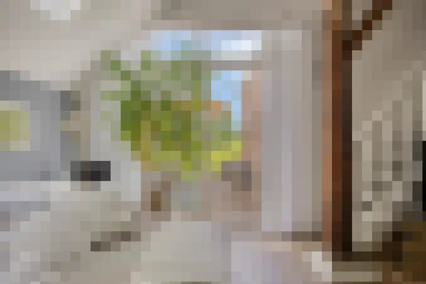 Binnenweg 9 Nijeholtpade thumbnail 13