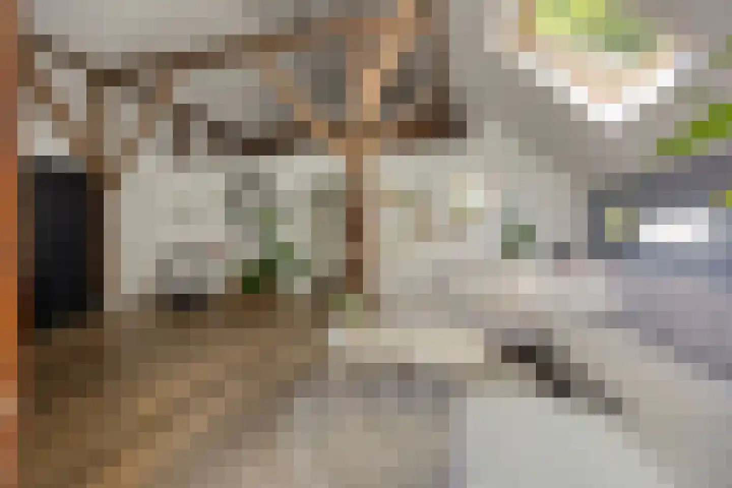 Binnenweg 9 Nijeholtpade thumbnail 15