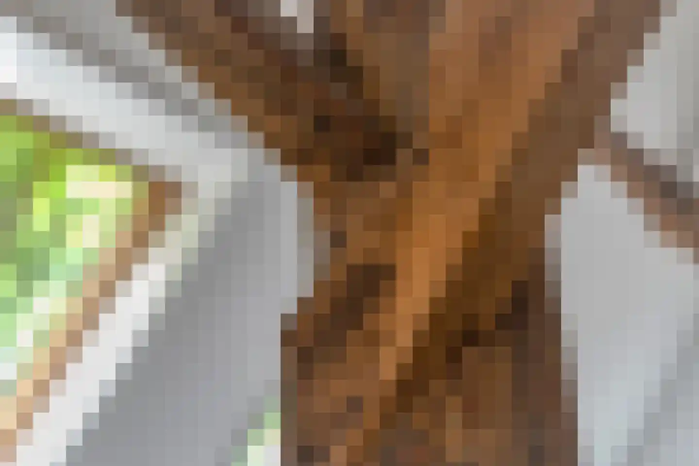 Binnenweg 9 Nijeholtpade thumbnail 16