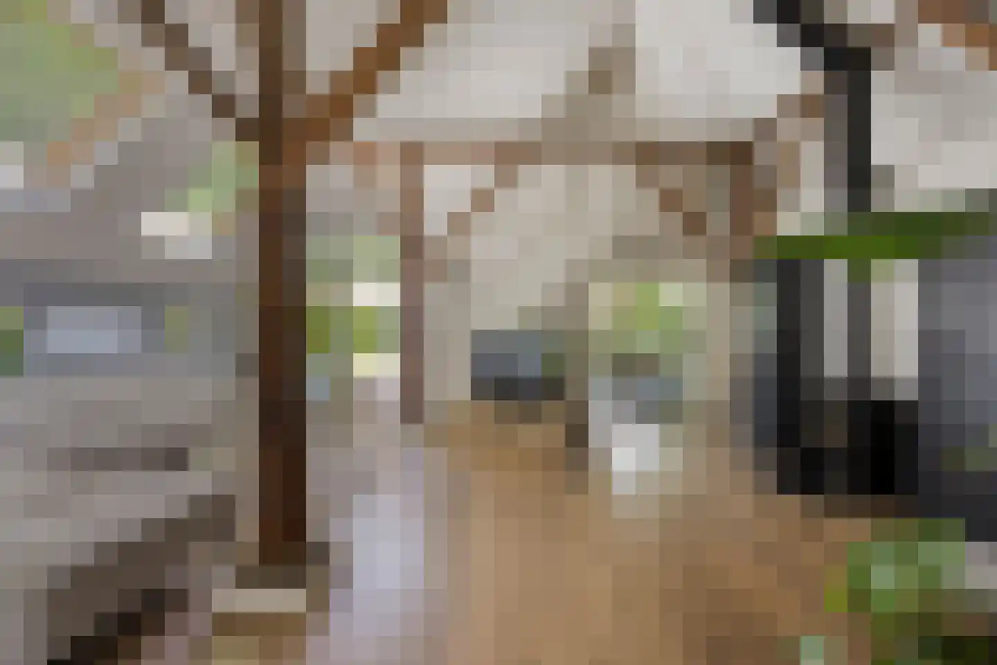 Binnenweg 9 Nijeholtpade thumbnail 17