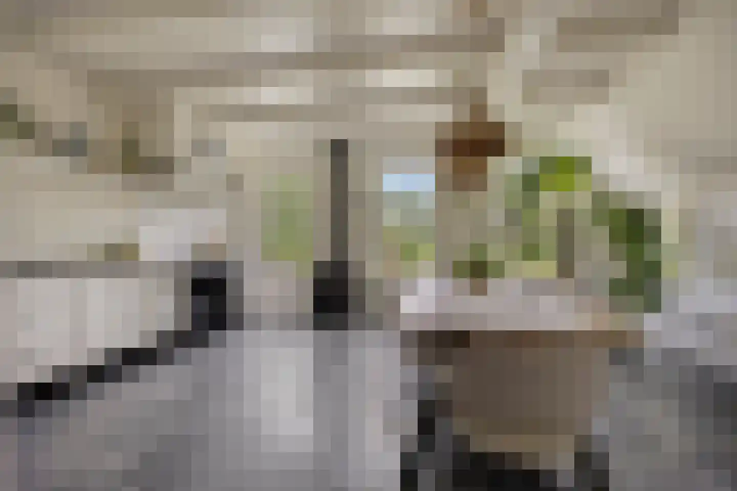 Binnenweg 9 Nijeholtpade thumbnail 19