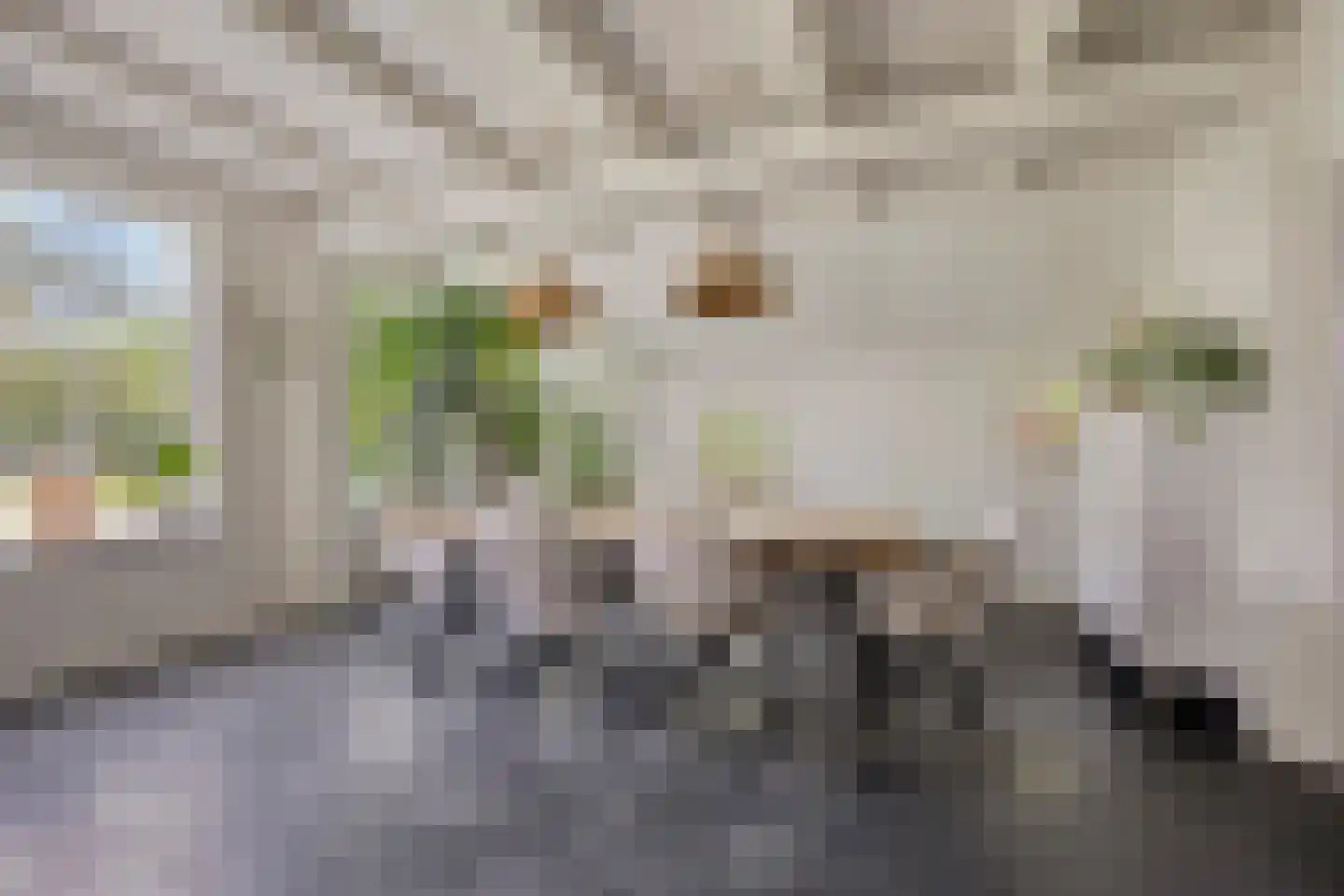 Binnenweg 9 Nijeholtpade thumbnail 22