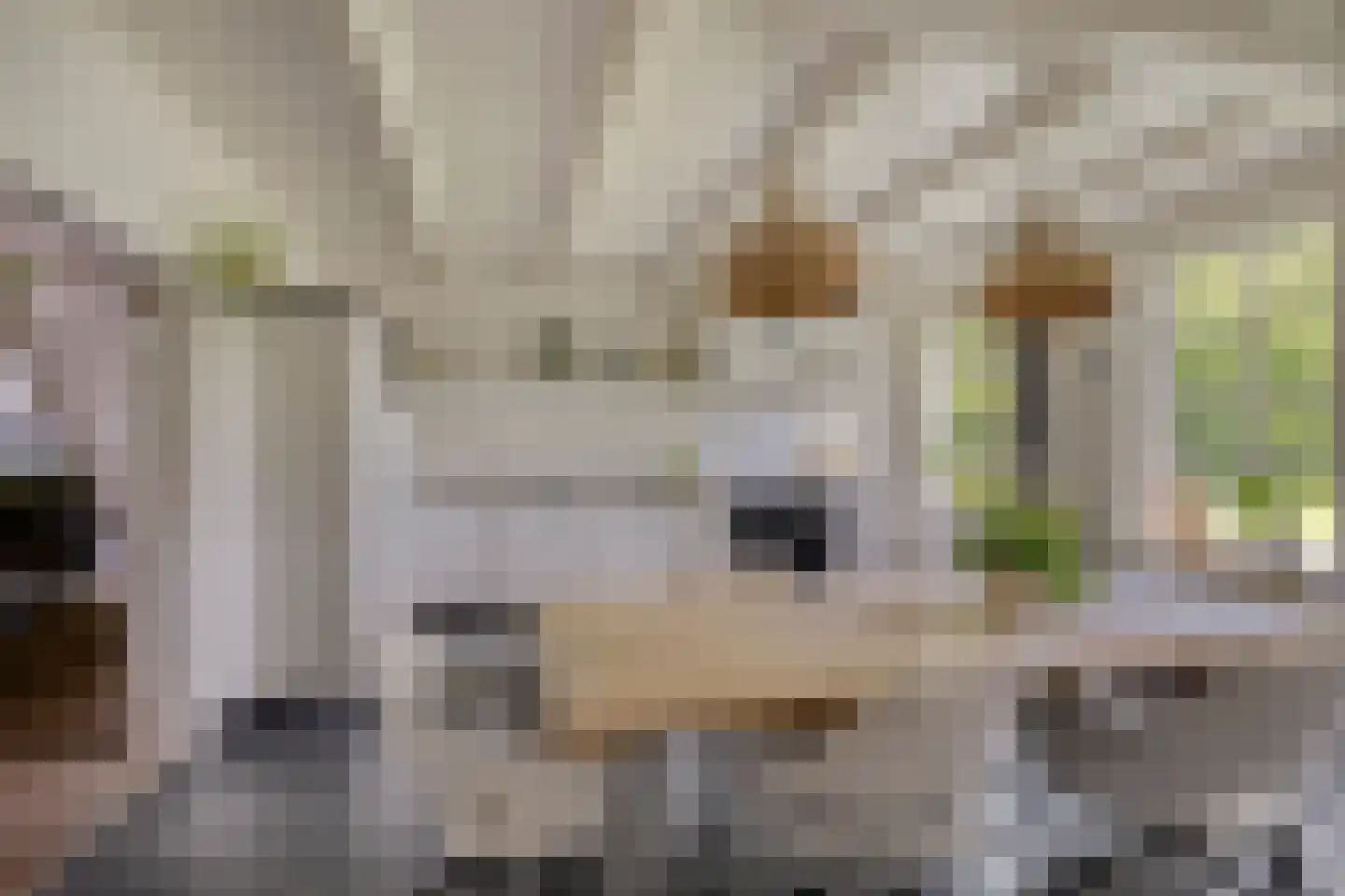 Binnenweg 9 Nijeholtpade thumbnail 4