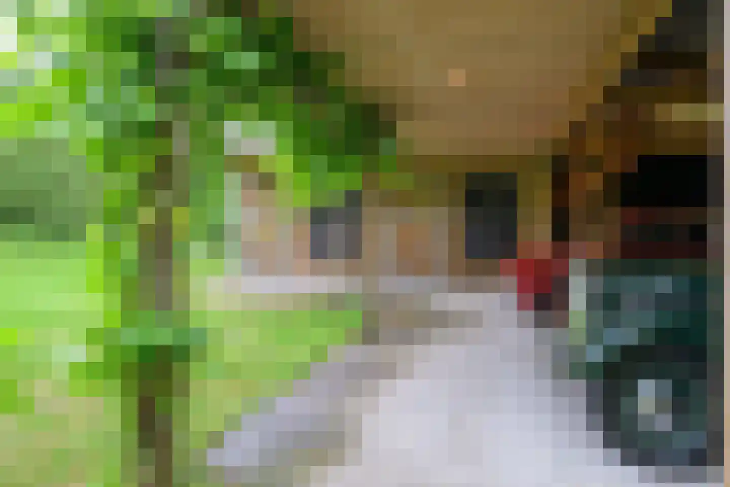 Binnenweg 9 Nijeholtpade thumbnail 42